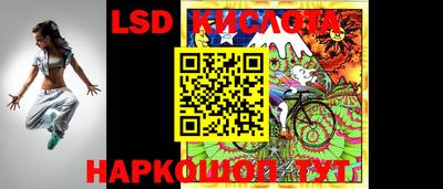 шишки Бузулук