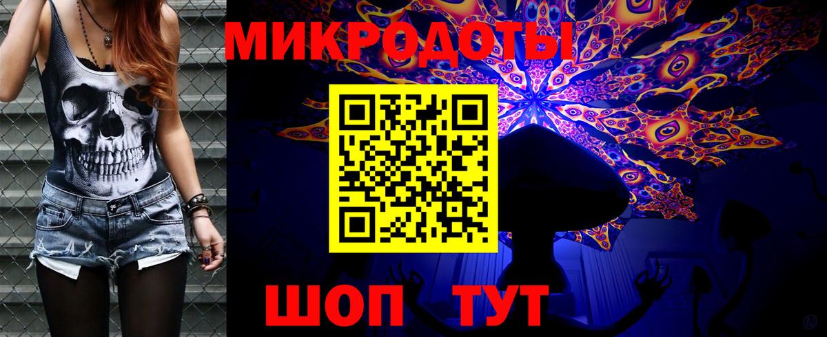 Псилоцибиновые грибы Psilocybine cubensis Сосновоборск