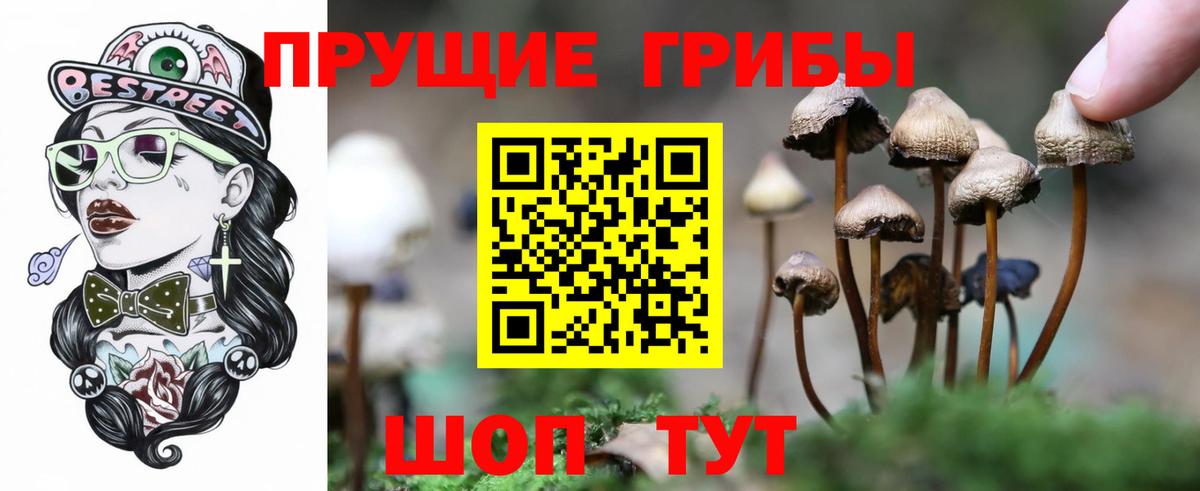 Псилоцибиновые грибы прущие грибы  Галлюциногенные грибы мицелий  Сосновоборск  Вход с VPN 